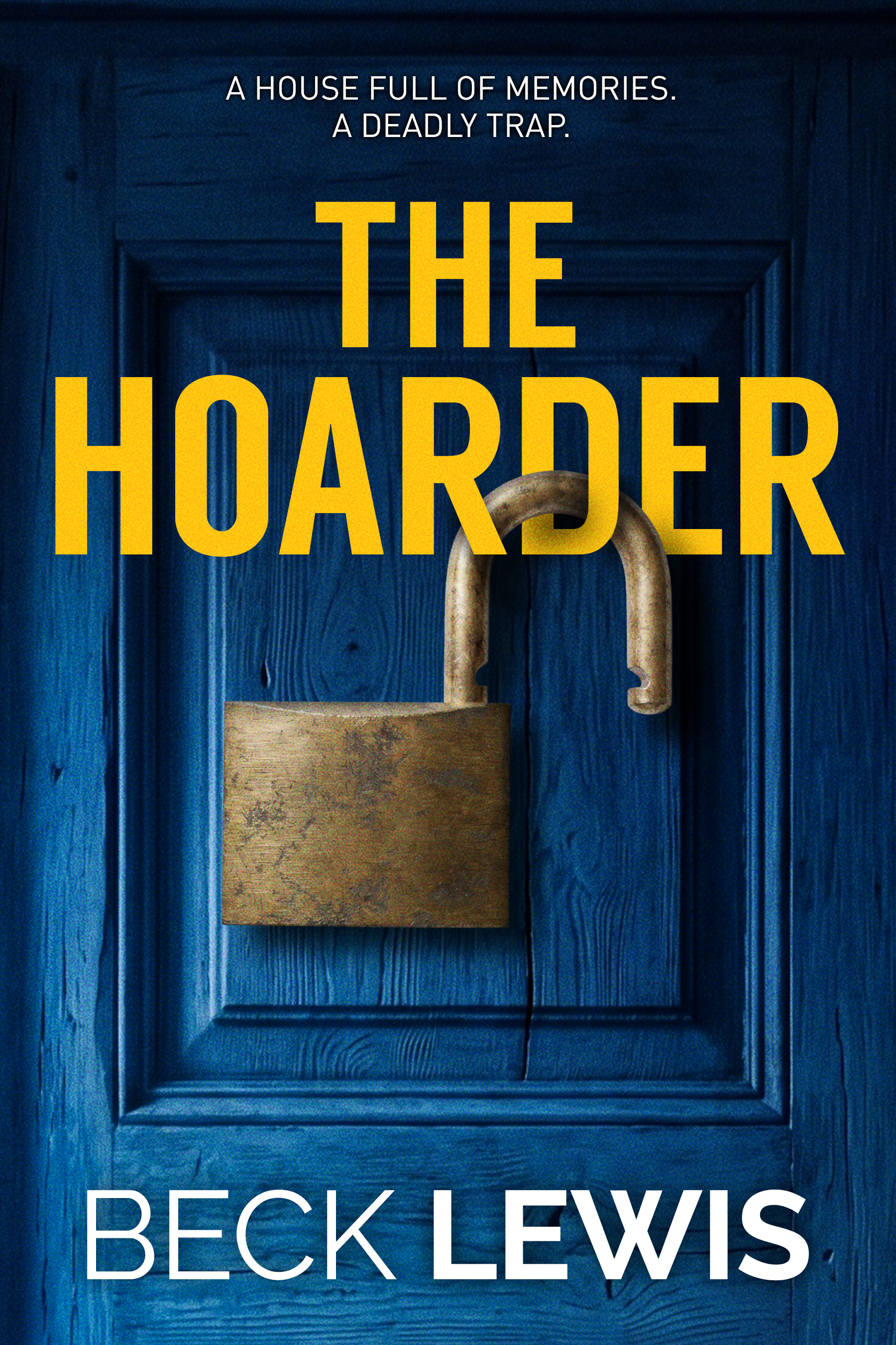 Cover of The Hoarder by Beck Lewis